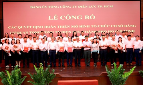 Hoàn thiện mô hình tổ chức cơ sở đảng Cơ quan Tổng Công ty Điện lực TP. Hồ Chí Minh
